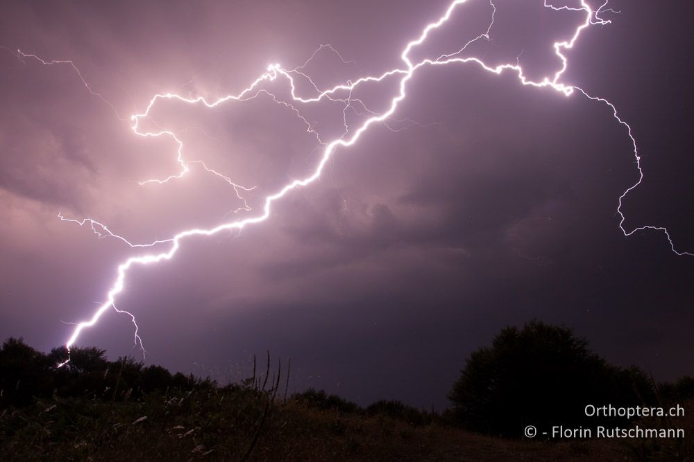 ....und es kann sich ein heftiges Gewitter entladen! - Mt. Vernon, 22.07.2012