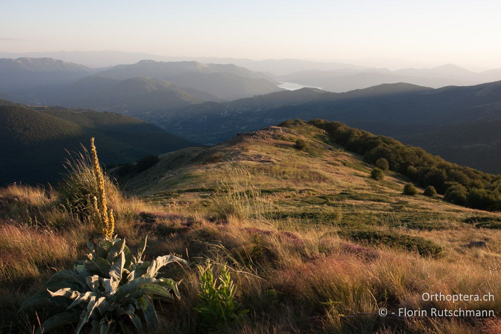 Abendstimmung im Varnous-Gebirge mit Blick in Richtung Prespa-See - Mt. Varnous, 13.07.2012