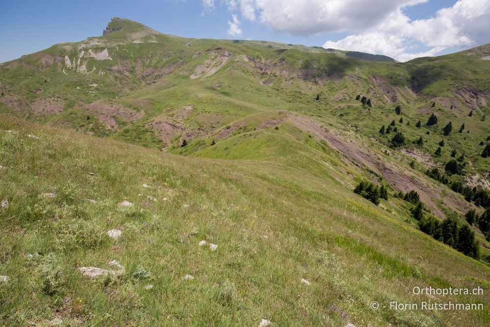 Gebirgslandschaft - GR, Thessalien, Pindos-Gebirge, 24.06.2015