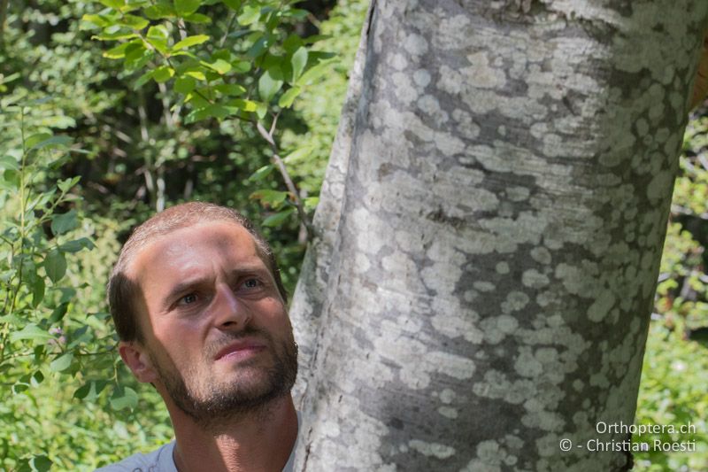 Florin hilft beim Fotografieren des Alpenbockes - GR, Westmakedonien, Kratero, 11.07.2017
