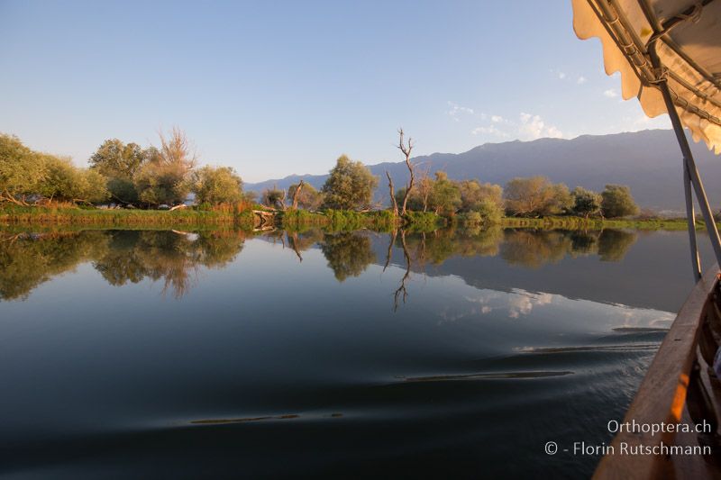 Fotogene Landschaft in der Morgensonne - GR, Zentralmakedonien, Kerkini, 08.07.2017