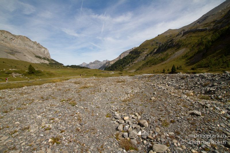 Bachbett, das bei einer Überschwemmung entstand - CH, BE, Sunnbühl bei Kandersteg, 22.09.2013