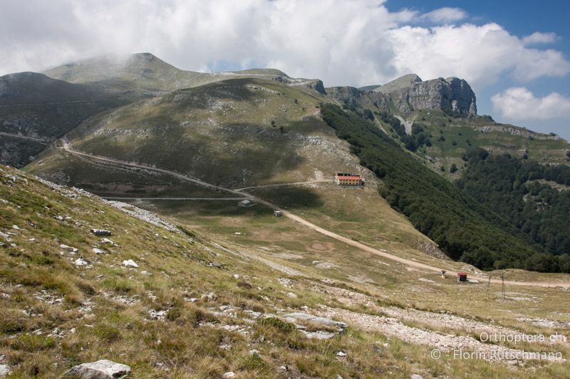 Bergwiese - GR, Ostmakedonien, Mt. Pangeon, 25.07.2012