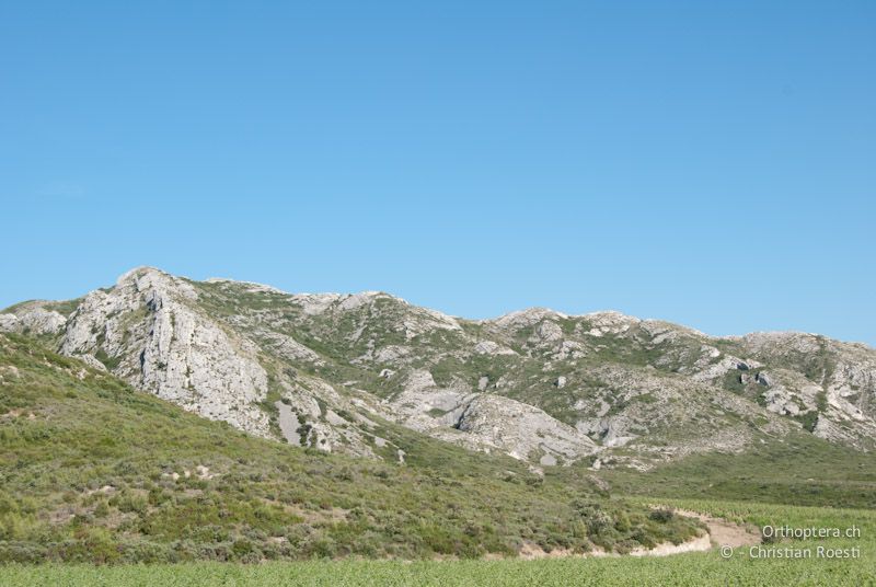 Alpilles