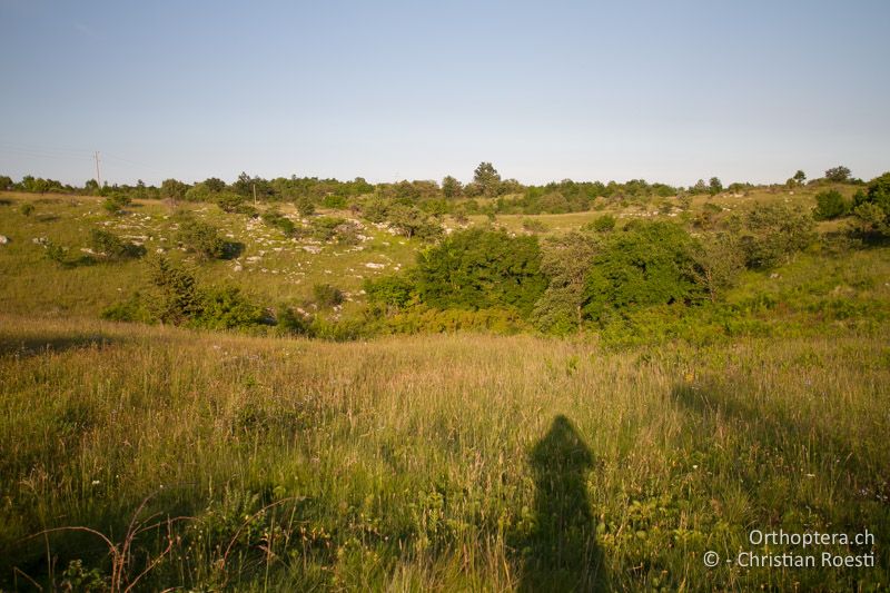 Doline in Istrien - HR, Istrien, Rajki, 04.06.2014