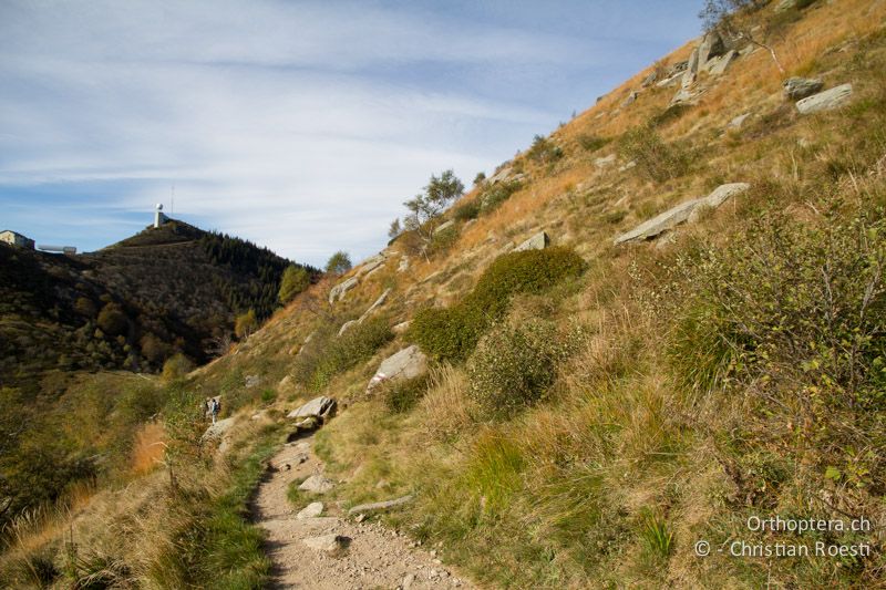 Verbuschte, steinige Bergflanke - CH, TI, Mt. Lema, 13.10.2011