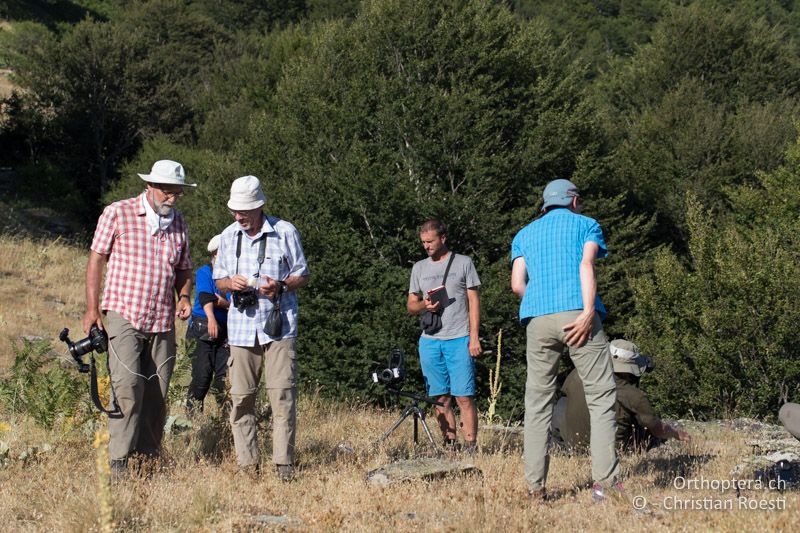 Hektischer Schlussspurt vor der Abreise zum Hotel - GR, Westmakedonien, Pisoderi, 12.07.2017