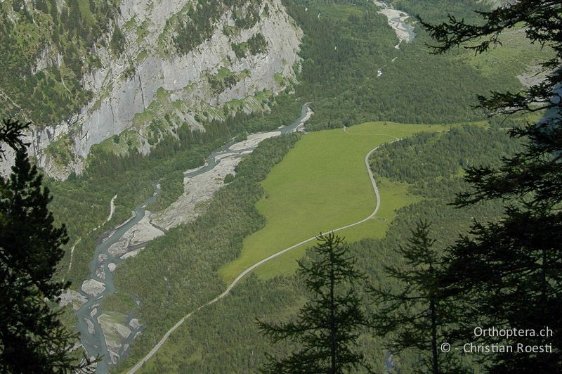 Ausblick auf die Schwemmflächen des Gasterntals - CH, BE, Sunnbüel, 29.06.2007