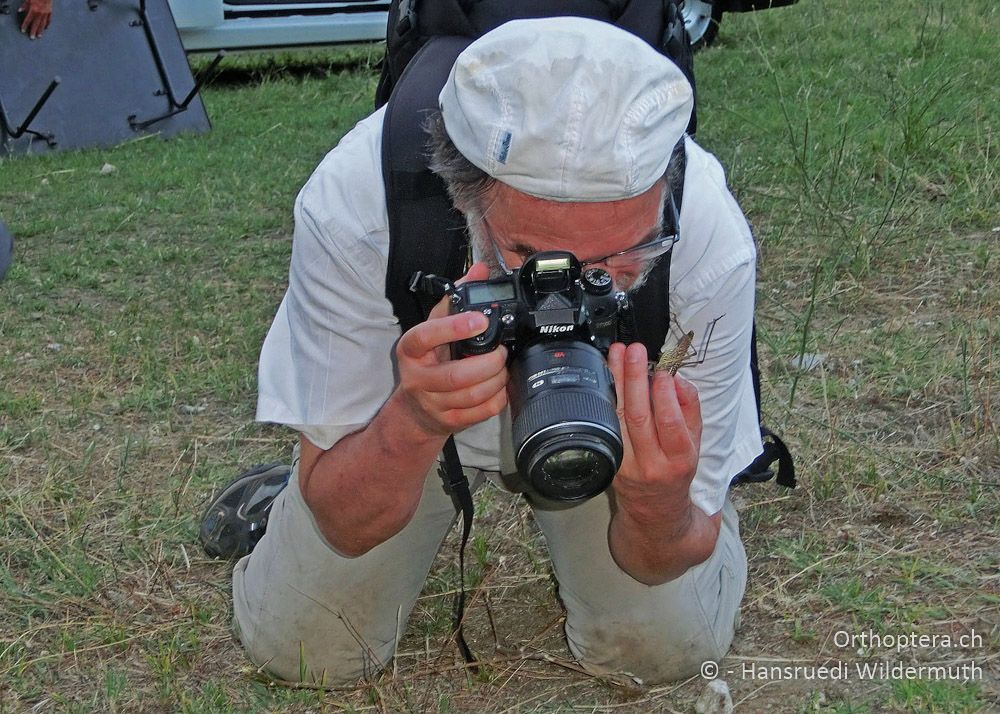 Heuschreckenvielfalt: die eine Hand am Auslöser, in der anderen die Heuschrecke für die nächsten Bilder - GR, Zentralmakedonien, Volvi-See, 05.07.2013