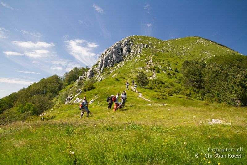 Auf dem Sattel unterhalb des Gipfels des Učka - HR, Primorje-gorski Kotar, Učka, 22.06.2016