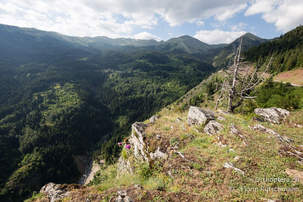 Gebirgslandschaft - GR, Thessalien, Pindos-Gebirge, 23.06.2015