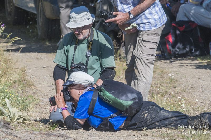 Katrin, sehr erdverbunden - GR, Westmakedonien, Pisoderi am Mt. Varnous, 12.07.2017