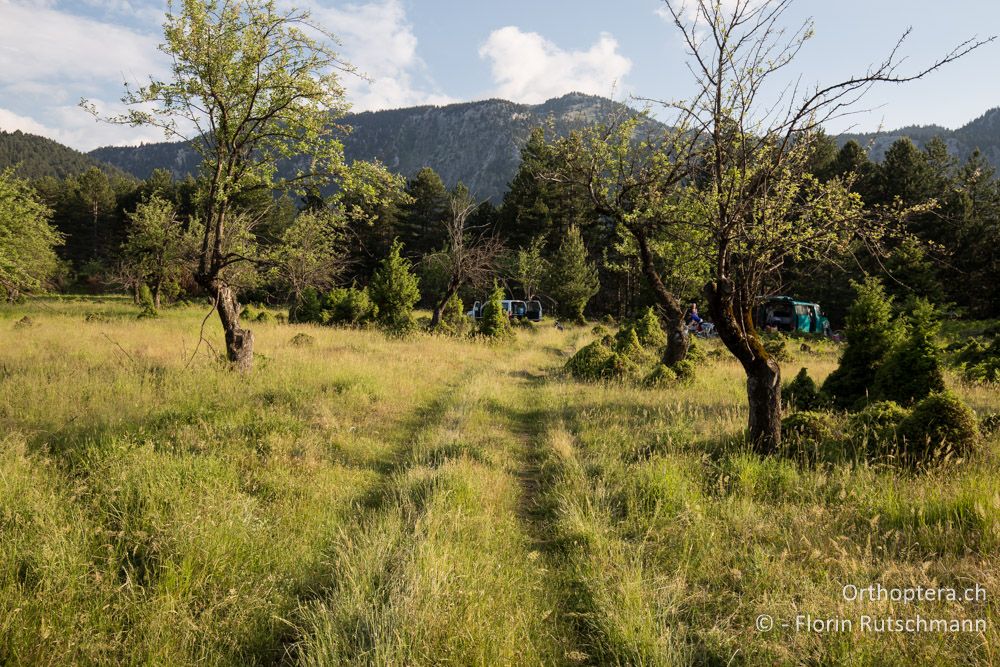 Abendstimmung - GR, Mittelgriechenland, Mt. Parnassos, 10.06.2015