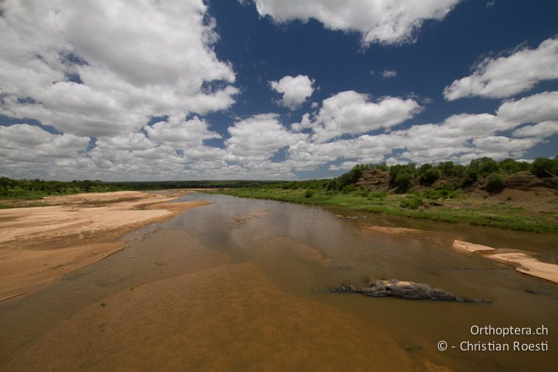 Letaba Fluss - SA, Limpopo, Krüger Park, Letaba, 05.01.2015