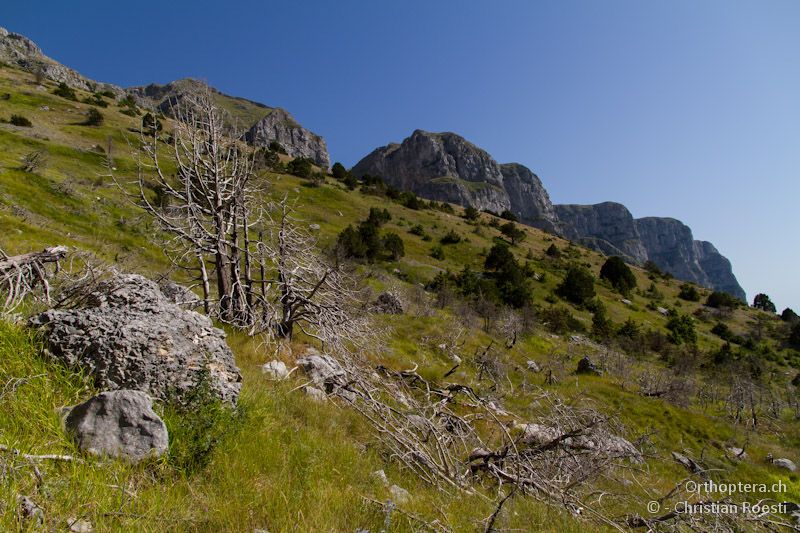 Landschaft bei Smixi - 14.07.2012