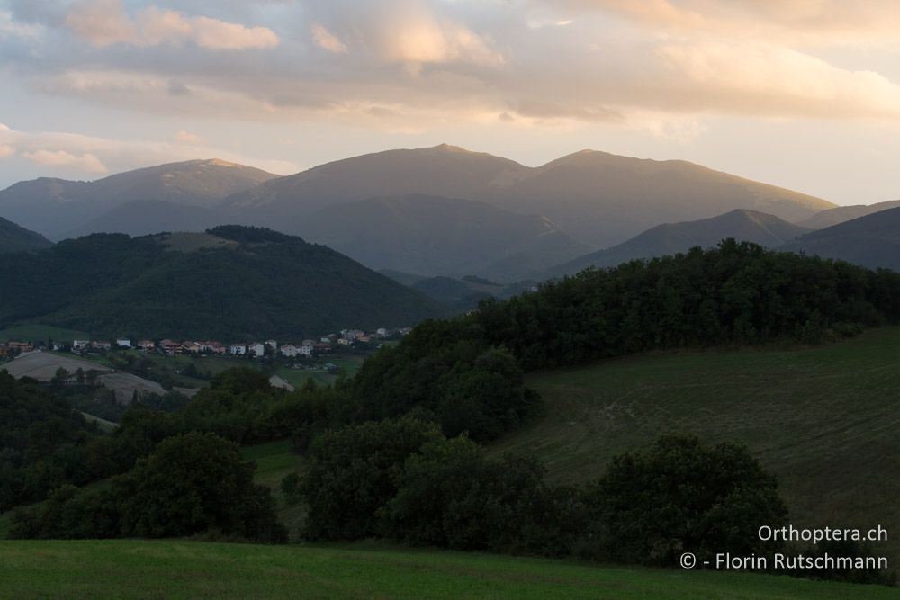 Ausblick von der Unterkunft - IT, Marken, Fabriano, 22.09.2014