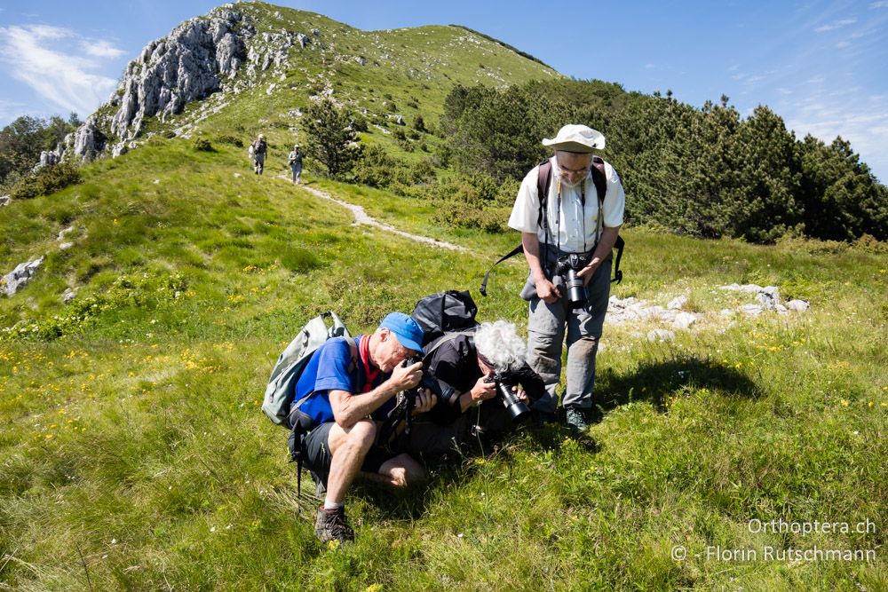 Fotosession unterhalb des Vojak - HR, Istrien, Učka-Gebirge, 22.06.2016