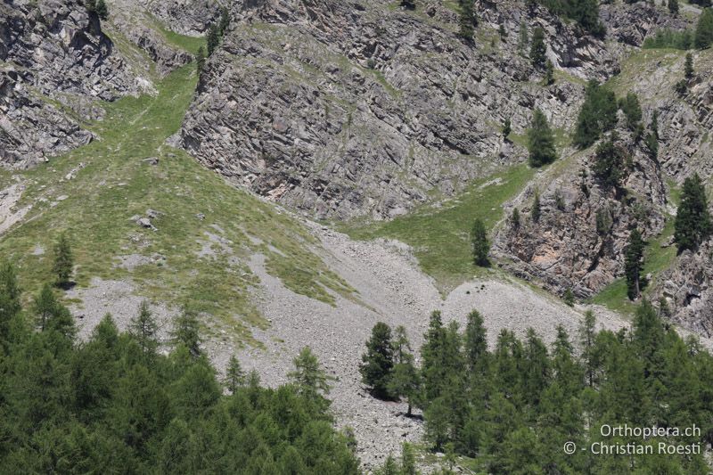Geröllhalden - CH, GR, Sils im Engadin, 01.08.2019