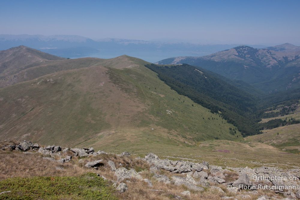Blick nach Mazedonien mit dem Prespa-See im Hintergrund - Mt. Varnous, 21.07.2012