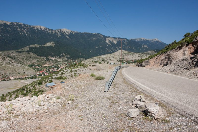 Intensives Weidegebiet. Gesteinsschotter im Strassengrabe. - GR, Westgriechenland, Empesos, 19.06.2013