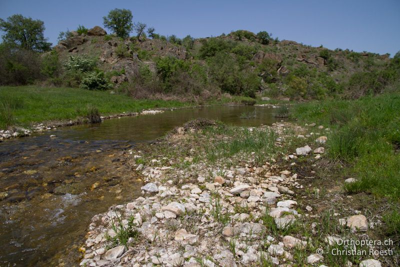 Bachufer - BG, Chaskovo, Yerusalimovo, 25.04.2012