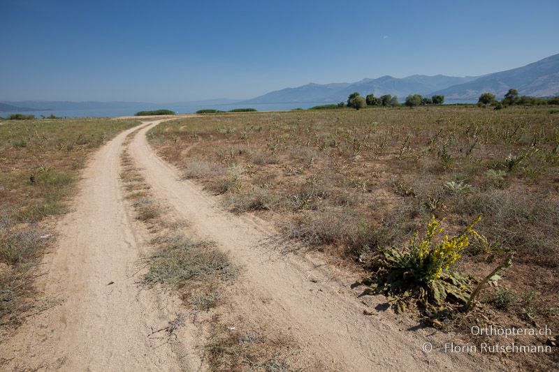 Landschaft auf dem Damm zwischen dem Kleinen und dem Grossen Prespa-See - GR, Zentralmakedonien, Prespa-See, 13.07.2017