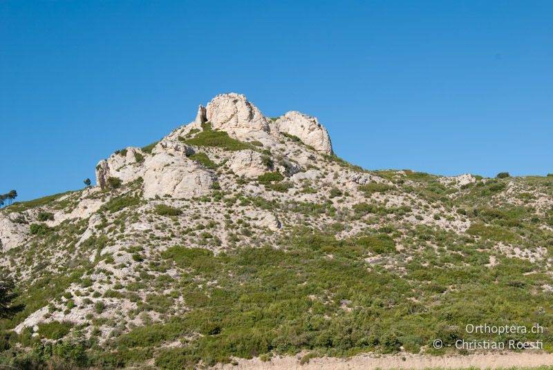 Gebüschreicher Hügel - FR, Bouches-du-Rhône, Maussane-les-Alpilles, 28.05.2009