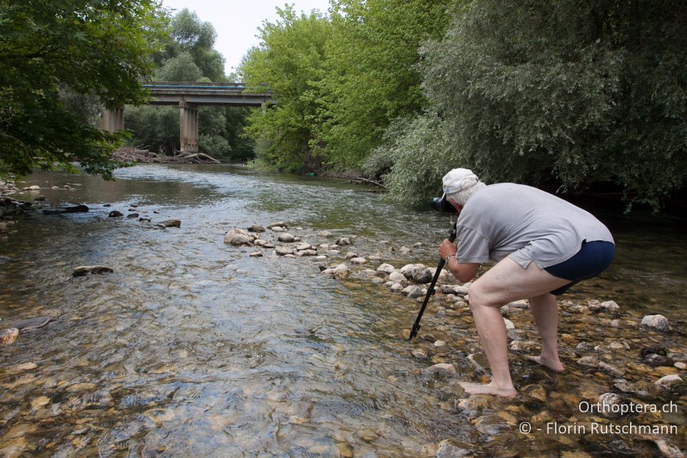 Verhaltensstudie: Bei Wasserkontakt lassen sie die Hüllen fallen - GR, Zentralmakedonien, Alistrati, 07.07.2014