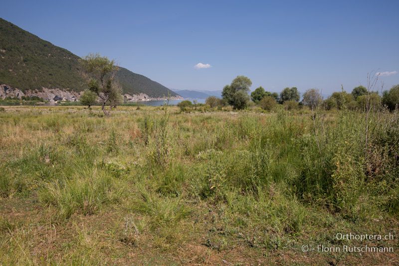 Landschaft am Prespa-See - GR, Zentralmakedonien, Prespa-See, 13.07.2017
