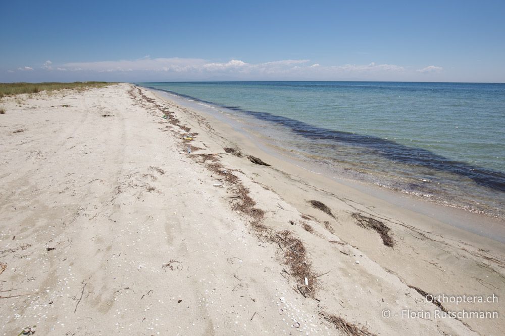 Schöner Sandstrand, wenn nur der ganze Abfalls nicht wäre - GR, Zentralmakedonien, Methoni, 19.06.2015