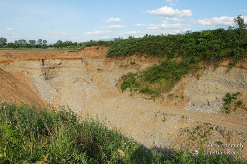 Kiesgrube - DE, Baden-Württemberg, Buggingen, 12.05.2007