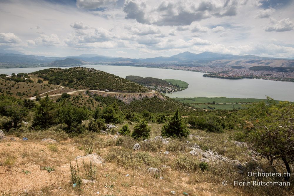 Blick nach Ioannina - GR, Epirus, Ioannina, 26.06.2015