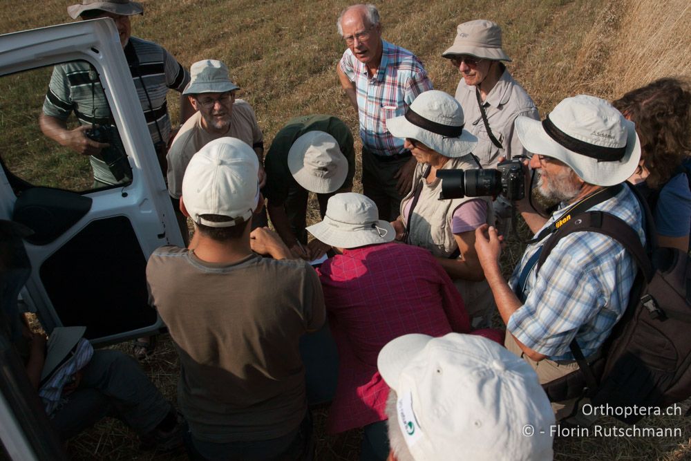 Gemeinsames Besprechen der Funde - GR, Westmakedonien, Klidi, 09.07.2013