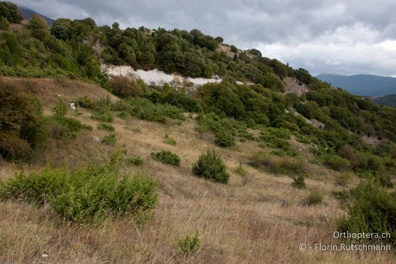 Strukturreiche Weide - IT, Abruzzen, Campo Di Giove, 07.10.2011