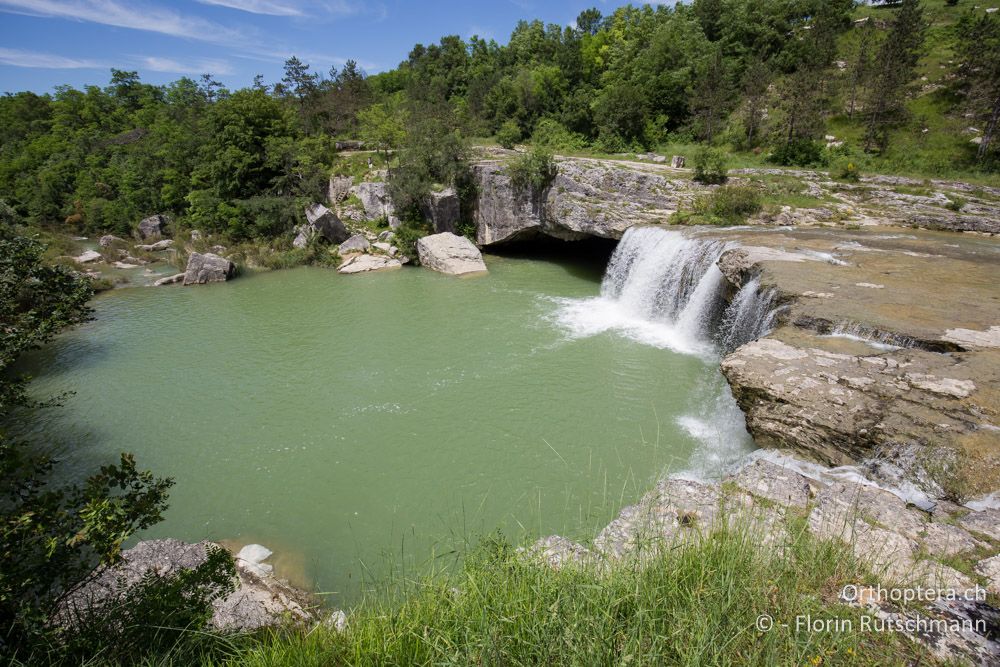Nach den Niederschlägen führte der Pazinčica ordentlich Wasser - HR, Istrien, Pazin, 17.06.2016