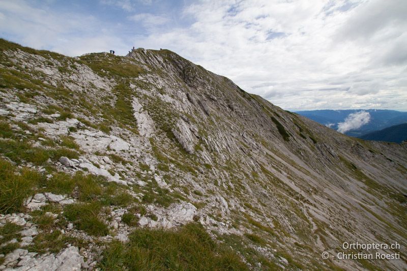 Karstige Bergwiesen - SLO, Goriška, Tolmin, Mt. Vogel, 19.09.2016