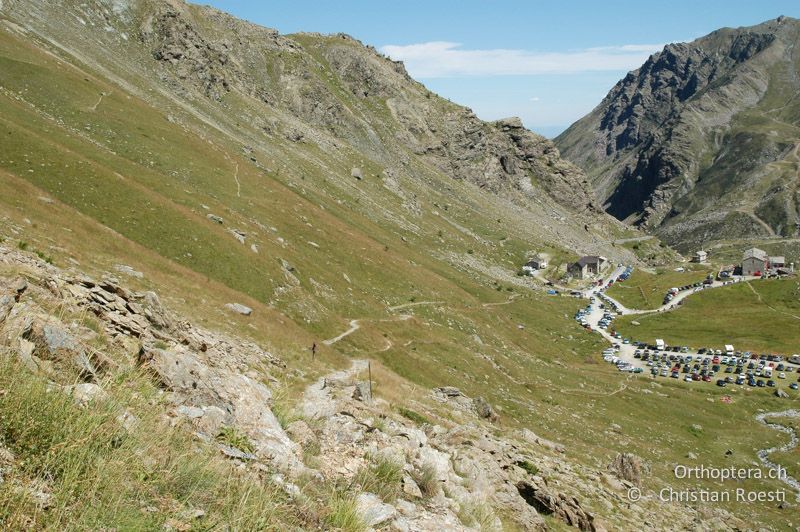 Magere Wiesen an steinigen Berghängen auf 2100 m. Quellort des Po - IT, Piemont, Pian del Re, 07.08.2006