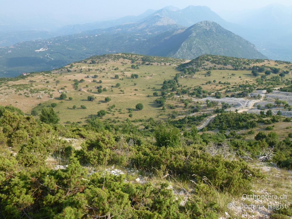 Landschaft mit Plateau auf 1250 m - Mt. Tomaros, 13.07.2011