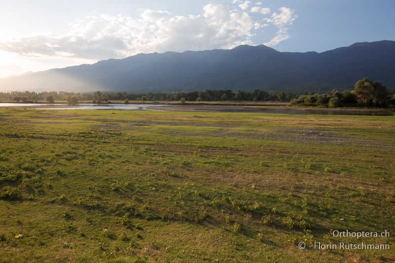 Landschaft in der Abendsonne - GR, Zentralmakedonien, Kerkini, 08.07.2017