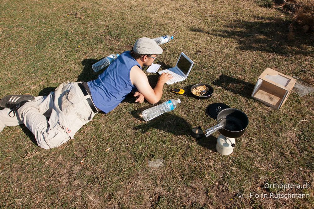Die Bergwiese als Büro und Küche! - Mt. Pangeon, 12.07.2012