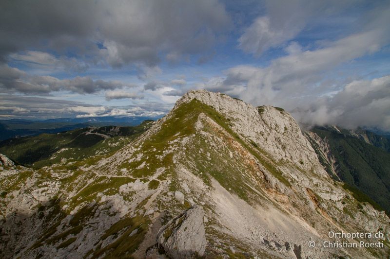 Karstige Bergwiesen - SLO, Goriška, Tolmin, Mt. Vogel, 19.09.2016