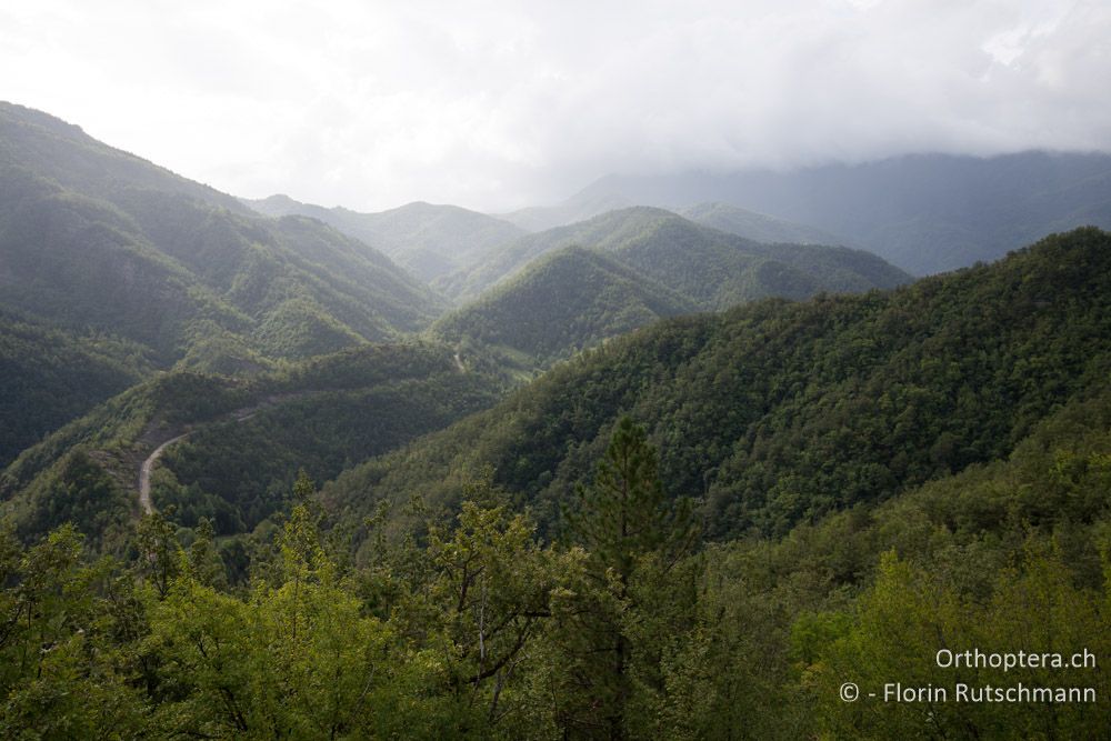 Wechselhaftes Herbstwetter - IT, Emilia-Romagna, Campigna, 22.09.2014
