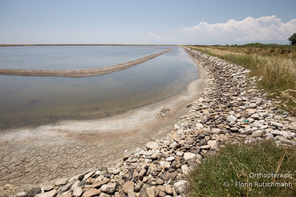 Saline zur Salzgewinnung - GR, Zentralmakedonien, Methoni, 20.06.2015