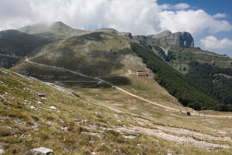 Bergwiese mit offenen Bodenstellen und Steinen - GR, Ostmakedonien, Mt. Pangeon, 25.07.2012