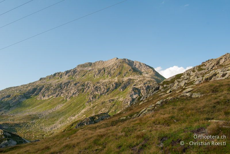 Bergwiese mit Gesteinsfeldern - CH, TI, Gotthardpass, 21.08.2009