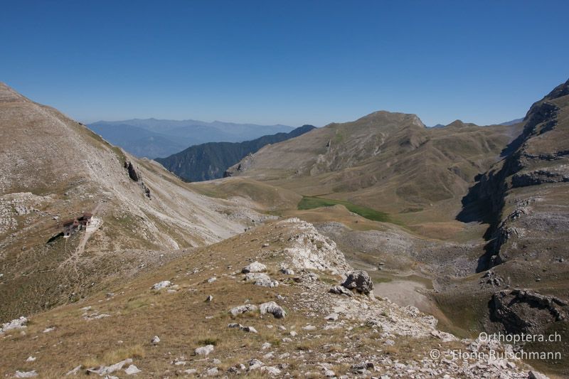 Beweidete Bergwiesen - GR, Epirus, Mt. Tymphi, 16.07.2012